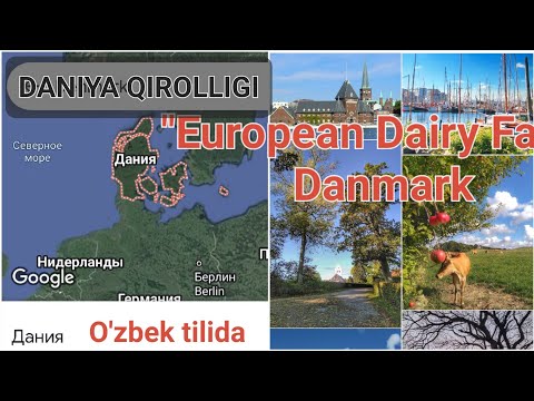 Video: Kopengagen Daniyadagi Yangi yil kechasi tadbirlari