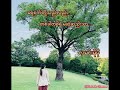 ရေစက်တို့သည်လည်း တစ်ခါတစ်ရံမဆုံဆည်းသာ (လမင်းမိုမို) (စ-ဆုံး)