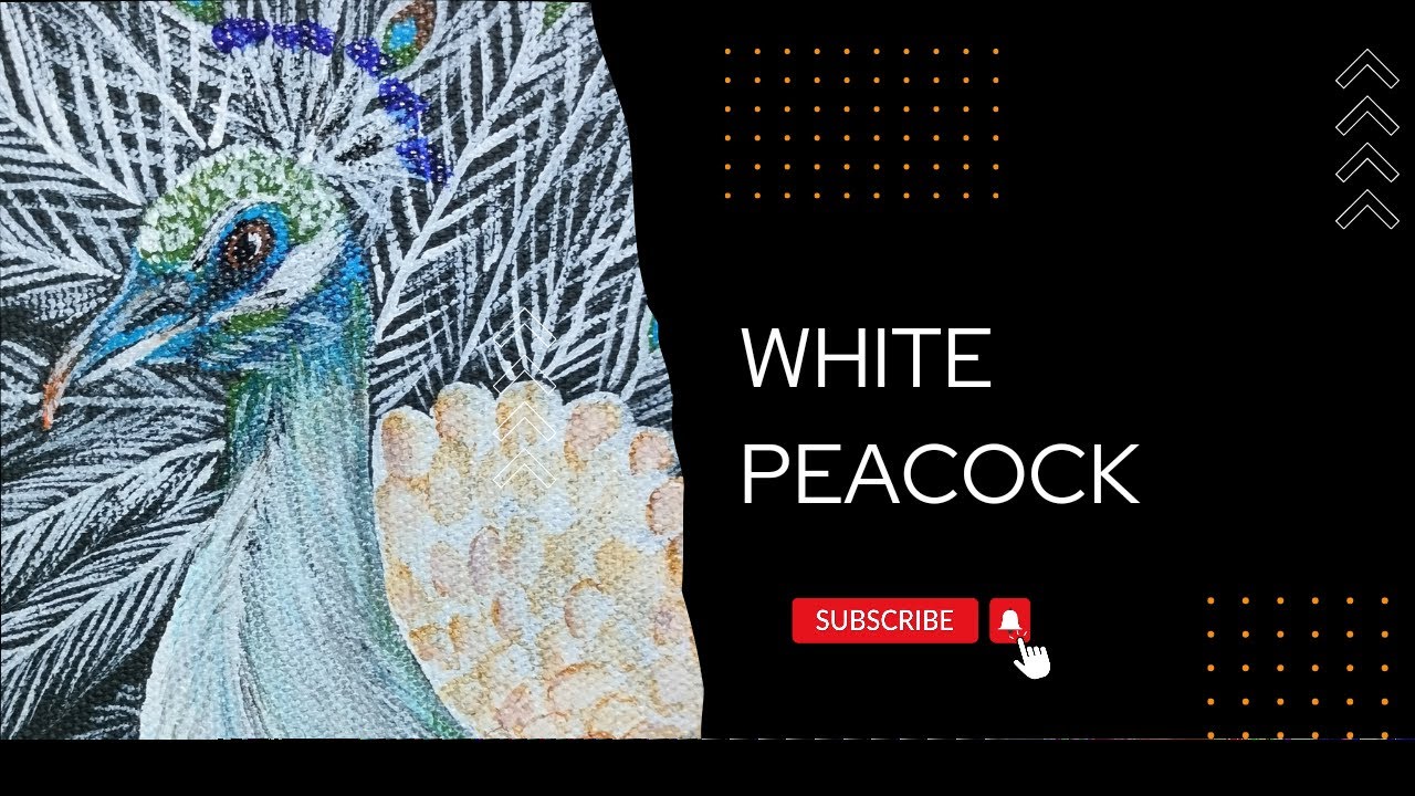 34 White Peacock Acrylic painting How to Paint White peacock YouTube