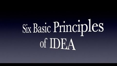 Six Basic Principles of IDEA
