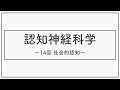 認知神経科学（神経・生理心理学）2021_14_社会的認知