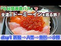 【day1 函館→小樽】八雲でソバを食べて、登別マリンパークニクスにうっとり。宿はドーミーイン小樽！「６日間周遊パス」で全道のドーミーインを巡る旅【だーちーのベタ旅】
