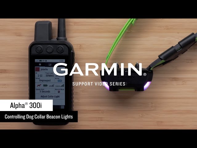 Garmin Support | Alpha® 300i | Controlling Beacon Lights