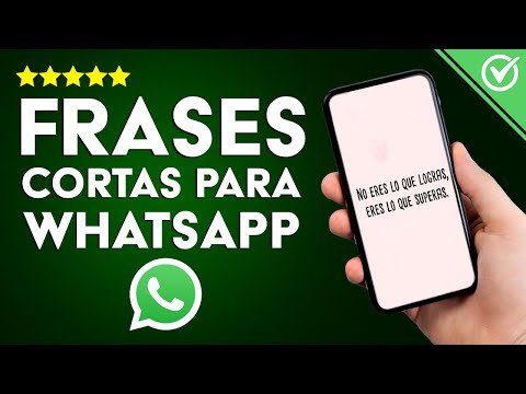 Las Mejores Frases Cortas para los Estados de WhatsApp - Originales, Indirectas y para Reflexionar