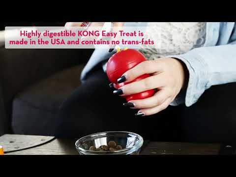 KONG Easy Treat - Dog Treats 