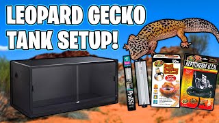 Leopard Gecko Setup for beginners