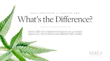 CBD Isolate vs Broad Spectrum