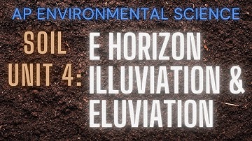 APES Soil Unit 4: E Horizon, Eluviation & Illuviation