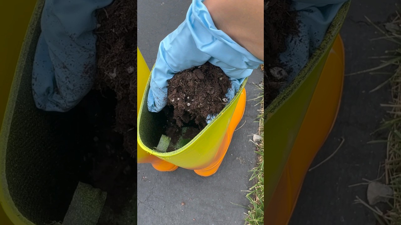 Turn old boots into a beautiful planter! 