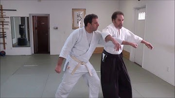 [Unedited] Aikido Video Project: Tsuki Kote-gaeshi Instruction