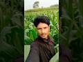 Ladies and jantalman welcome to my makke ka khet...