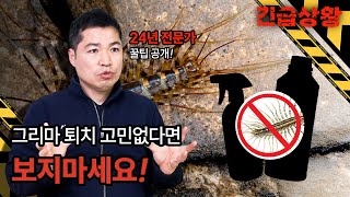 그리마(돈벌레) 퇴치 고민 없다면 보지마세요! 24년 전문가의 비법이 궁금하신 분만 꾹😍👍