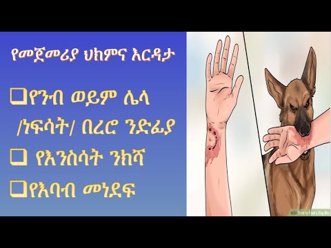 ቪዲዮ: ንብ ንክሻ ይጎዳል?