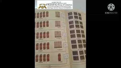 Class -1st std Maths Mental Arithmetic