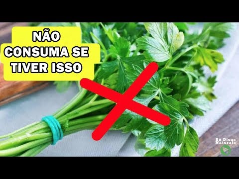 Vídeo: Tomilho com cheiro de limão: propriedades úteis, recursos de cuidados e comentários