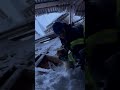 Miracle Pet Rescue: Puppy Dug Out of Deep Snow and Debris #dog #puppy #rescue