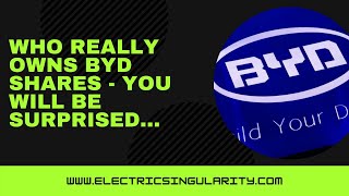 Who really owns BYD shares - you will be surprised...