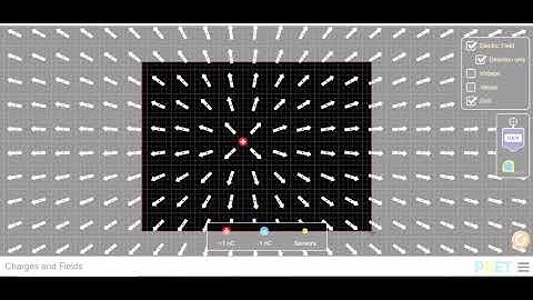 Electric Field Lines Due to Point Charge Using PhET Simulation.