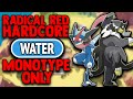 Pokemon radical red 40 hardcore mode but i only use water type pokemon