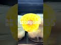 Hard edits are so 2025. It’s time for hard boiled edits 😈#Greggs #eggs #ForYouPage #FYP