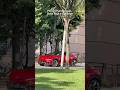 Ferrari Purosangue+ Rolls Royce Cullinan! #shorts #ferrari #rollsroyce #carspotting #spotter