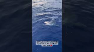 Roxy Used To Bring Us Debris