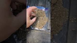 ABUNDANT MAGNETITE IN THE SOILS BELOW 400M OF OUTCROP!