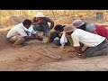 Chariot Discovered in India set to rewrite History