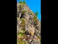 OSTRVICA OSTRVICA