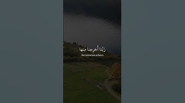 تلاوة خاشعة بصوت القارئ اسلام صبحي | حالات واتس اب قران | قالوا ربنا غلبت علينا شقوتنا