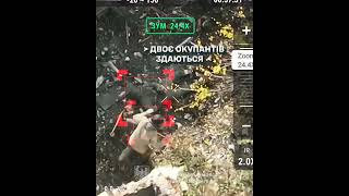 ЗСУ звільнили три села на Донеччині: українські десантники встановили прапор у Сухецькому