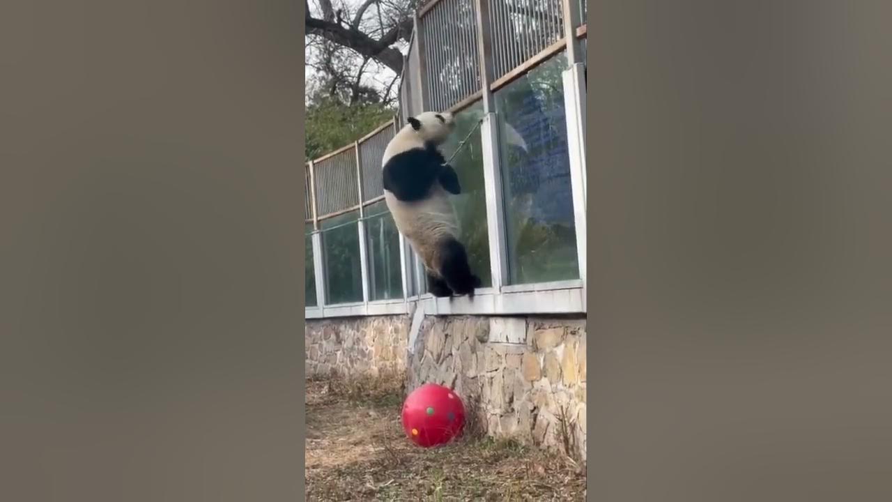 Meng Lan s Historical Escape YouTube meng-lan-s-historical-escape-youtube