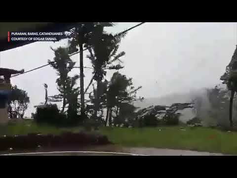 Trees In Catanduanes Sway Due To Strong Wind Brought By QuintaPH