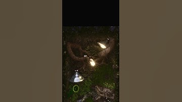 Submission for Pwnisher