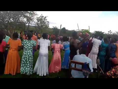 Ritungu kutoka Serengeti Mara Tanzania  HD VIDEO