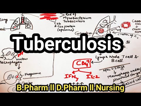 Tuberculosis pathophysiology ll B.Pharm 2nd sem pathophysiology ll D.Pharm ll Nursing..