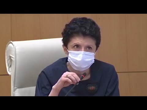 წულუკიანისთვის „ამბასადორი“ მიუღებელია