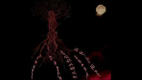 Light Language: Grounding