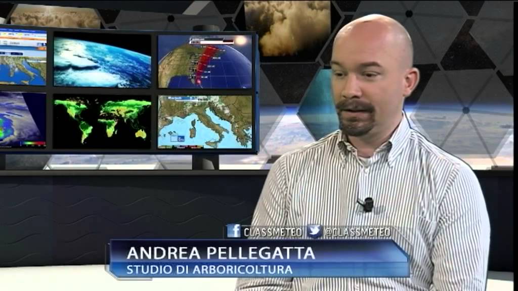 Prometeo -- La lotta contro il punteruolo rosso delle palme