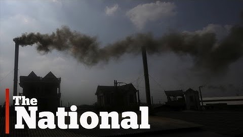 Climate Change Fight