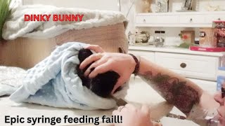 syringe feeding a rabbit epic FAIL! (rabbit after neuter recovery) by Binky Bunny's Way 194 views 3 months ago 8 minutes, 58 seconds