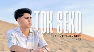 Tok Seko - Irfan Mutiara Biru | Cover Version