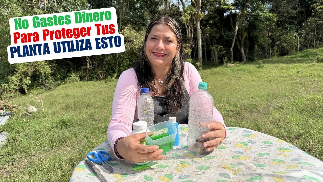 Protege tus plantas sin dinero con estos ingredientes que tienes en casa