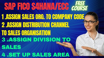 SAP FICO CLASS 12 | Assign sales organization to company code | Set up sales area | SAP S4HANA/ECC |