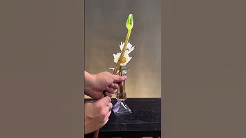 Thumbnail of A Chinese-style flower arrangement tutorial with three white water lilies and two umbrella