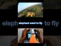 danm elephant to heavy but my more powerful then elephant #fpv #fpvfreestyle #fpvlife #fpvaddiction