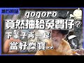 【羅傑】gogoro終於抽了但居然抽到免費仔!? 下輩子還要一起當好傑寶【Surfshark VPN】讓你當網路上的水行俠@龜狗 SweetCamper ｜ 《爐石戰記》｜幹話日常｜Roger9527