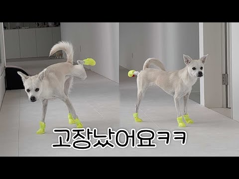 처음 신발 신은 날