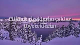 Turan Şahin/Ya Ben Anlatamadum(Lyrcis) Resimi