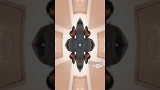 One in a million- Travis Malloy (Kaleidescape)